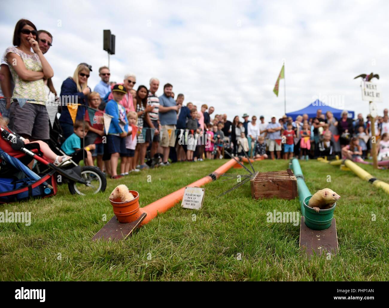 Dorchester, Dorset, Großbritannien. 2. September 2018. Dorset County zeigen, Menschenmassen genießen Sie das Frettchen Racing. Credit: Finnbarr Webster/Alamy leben Nachrichten Stockfoto