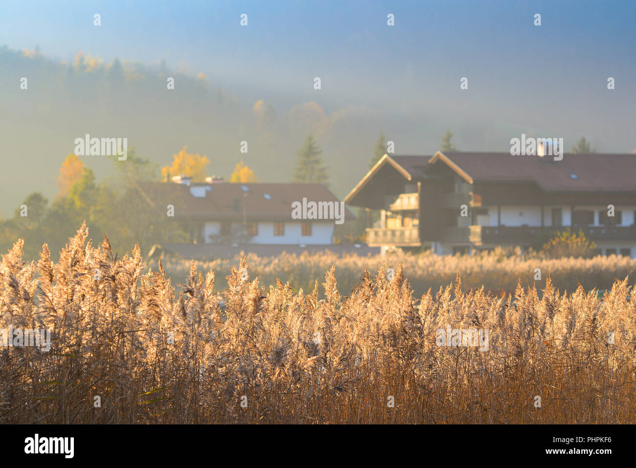 Herbst morgen heiteren Landschaft mit Nebel über dem See Rohrkolben im ländlichen Bereich der pastoralen Oberbayern Stockfoto