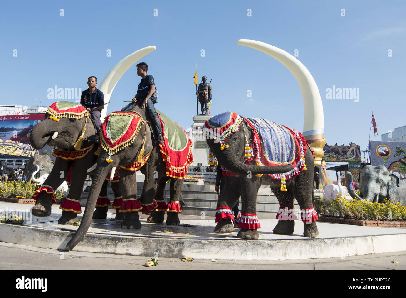 THAILAND ISAN SURIN ELEPHANT FESTIVAL RUNDEN Stockfoto