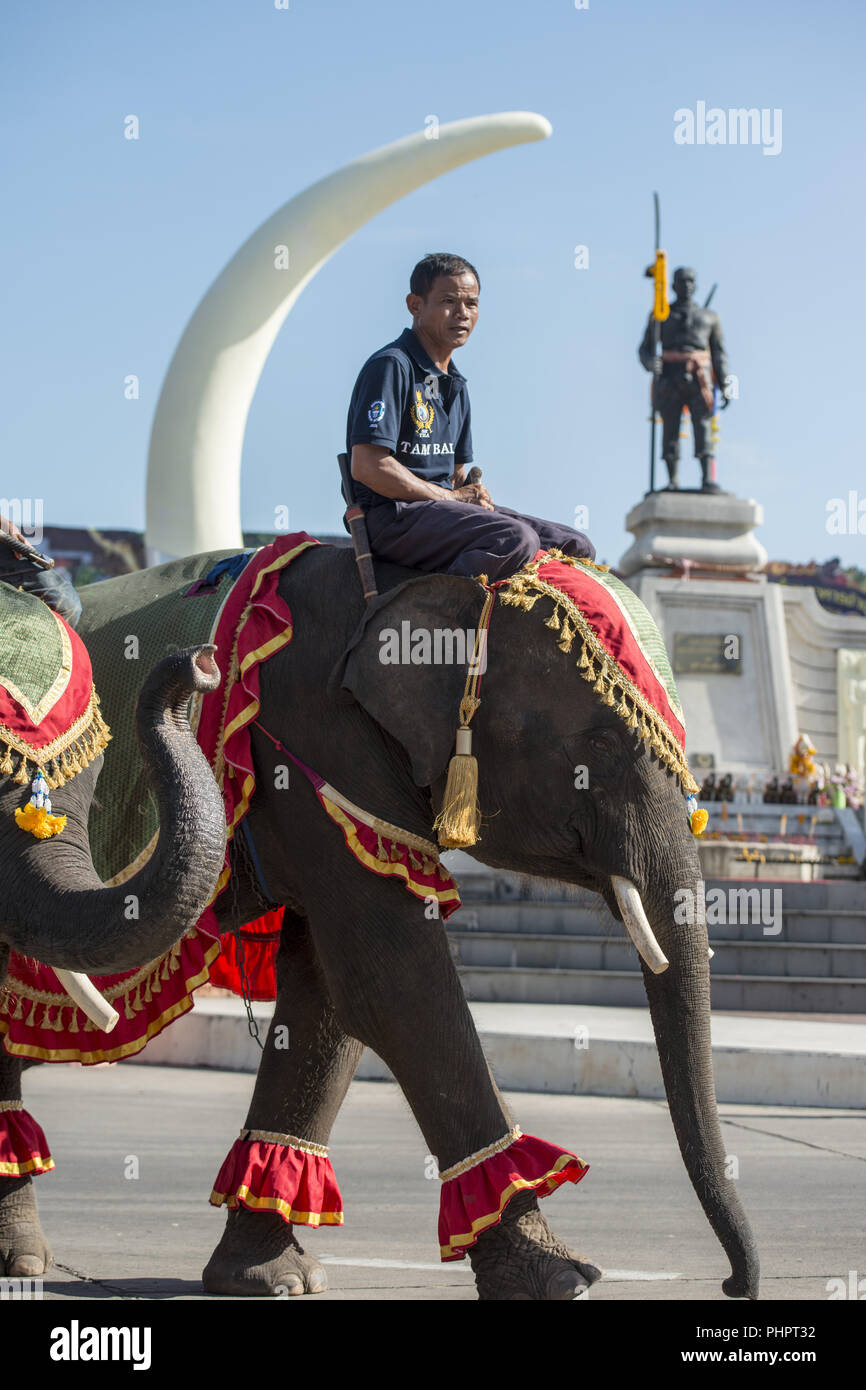 THAILAND ISAN SURIN ELEPHANT FESTIVAL RUNDEN Stockfoto