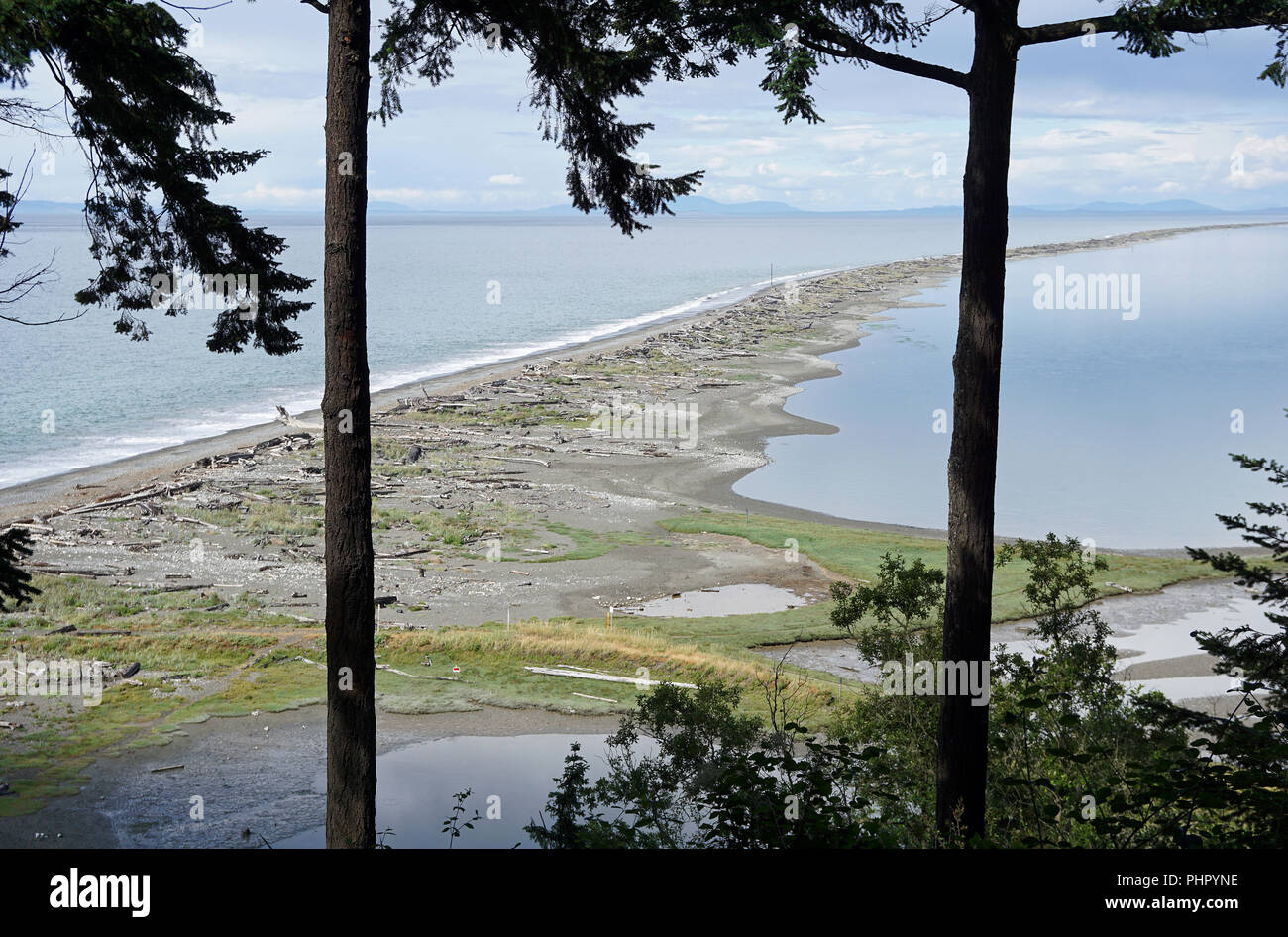 Sand Dungeness Spit, Olympic Peninsula, Washington, USA Stockfoto