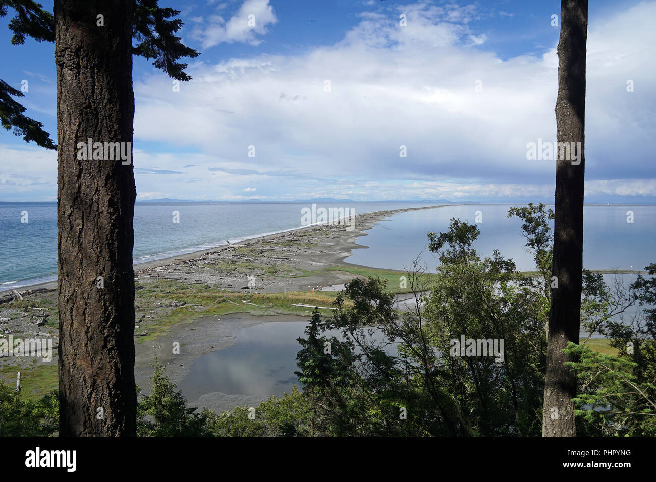 Sand Dungeness Spit, Olympic Peninsula, Washington, USA Stockfoto