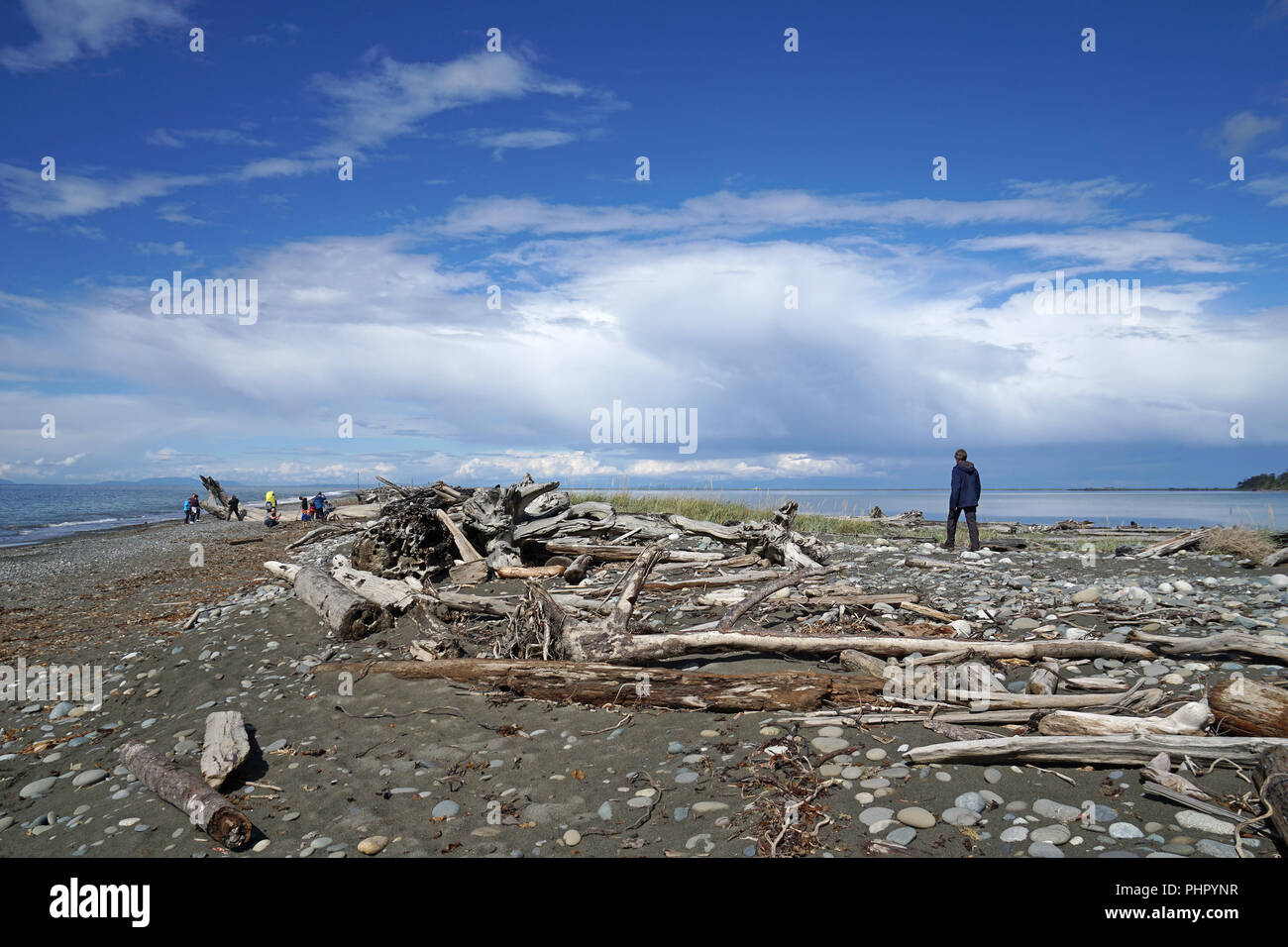 Sand Dungeness Spit, Olympic Peninsula, Washington, USA Stockfoto