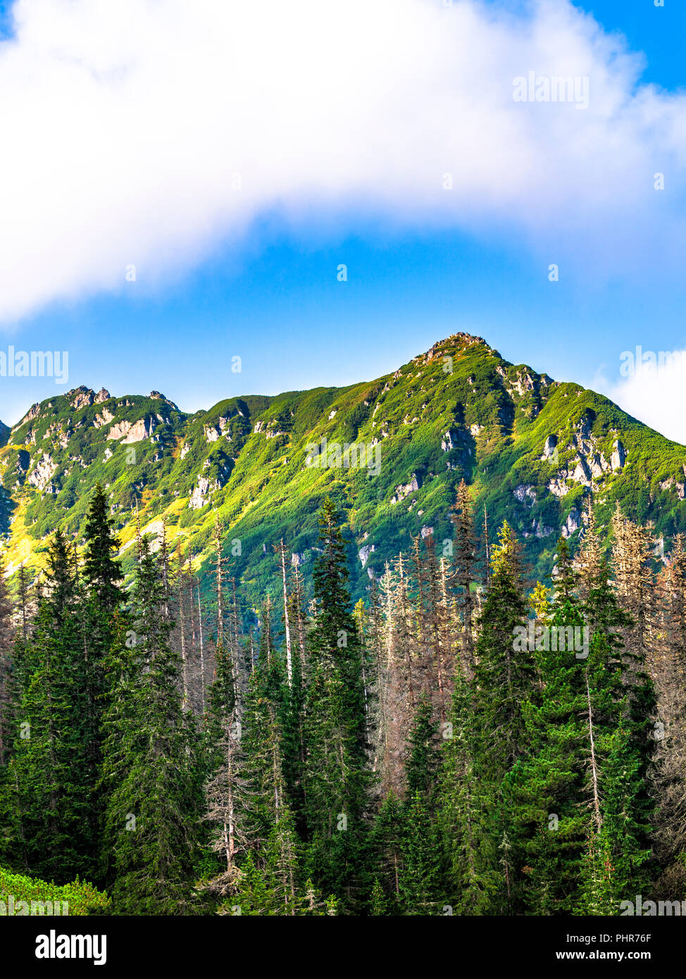 Polnische Tatra Sommer Landschaft mit blauem Himmel und weißen Wolken. Stockfoto