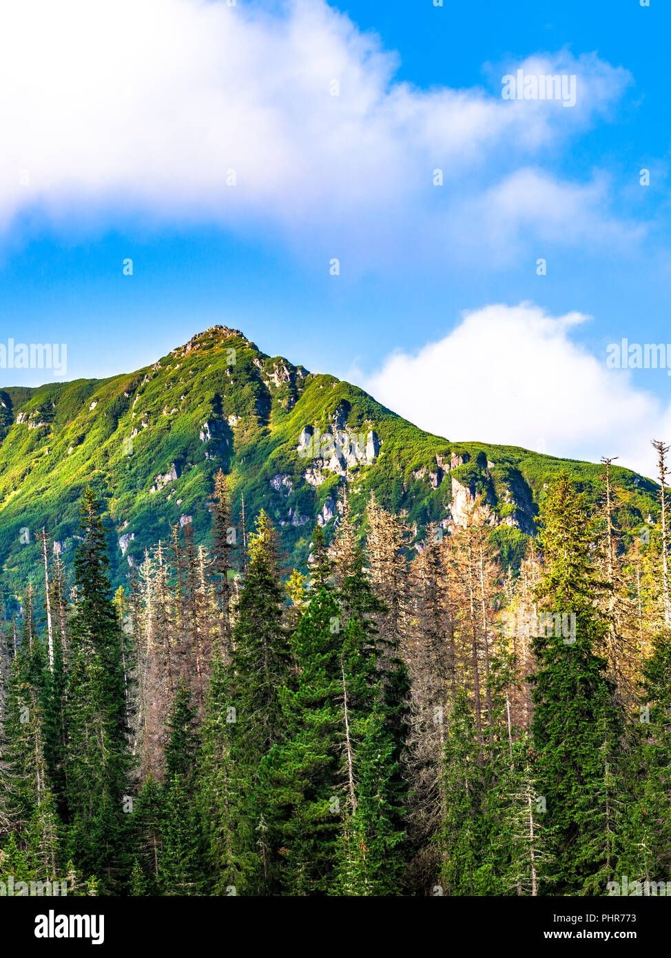 Polnische Tatra Sommer Landschaft mit blauem Himmel und weißen Wolken. Stockfoto