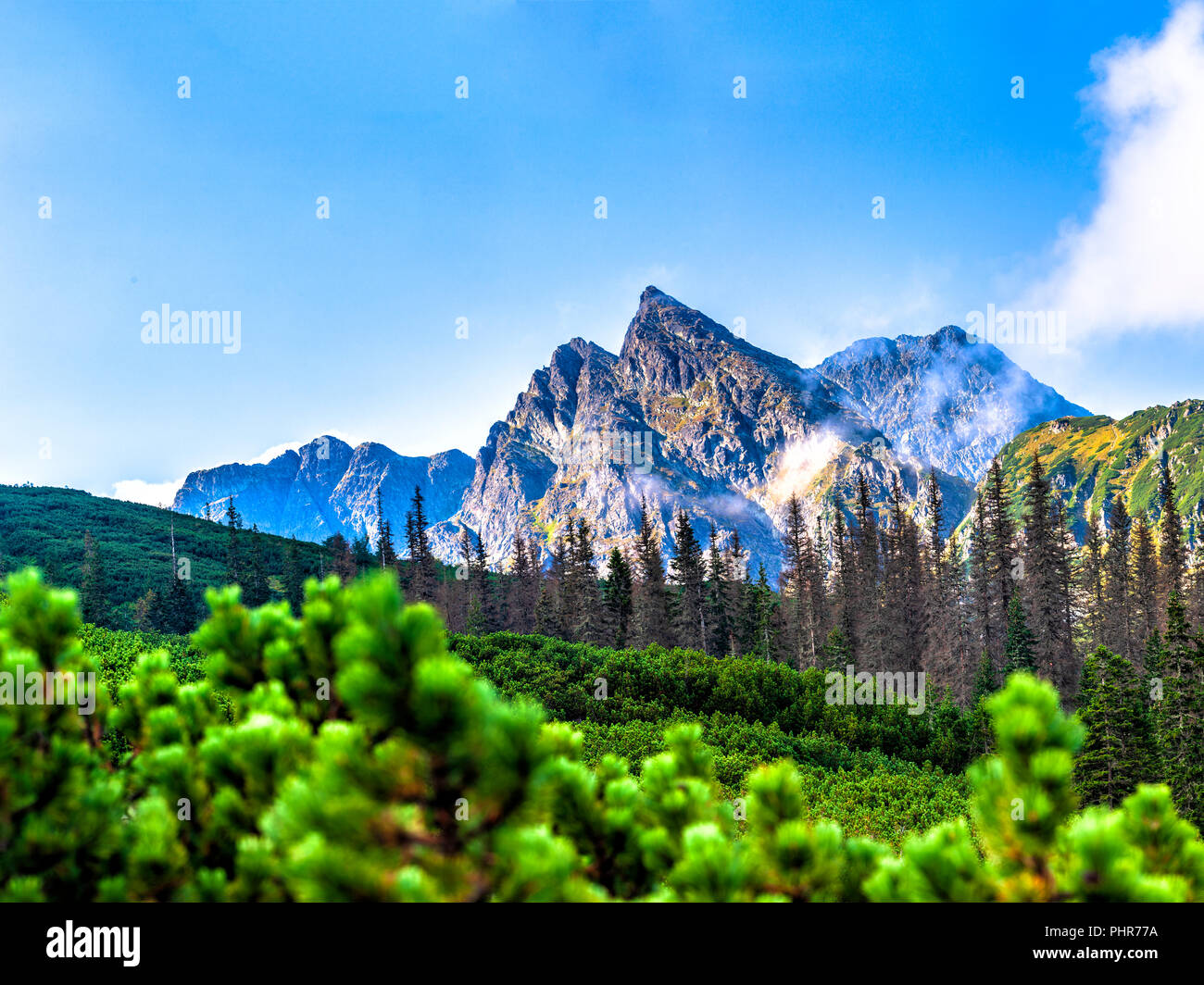 Polnische Tatra Sommer Landschaft mit blauem Himmel und weißen Wolken. Stockfoto