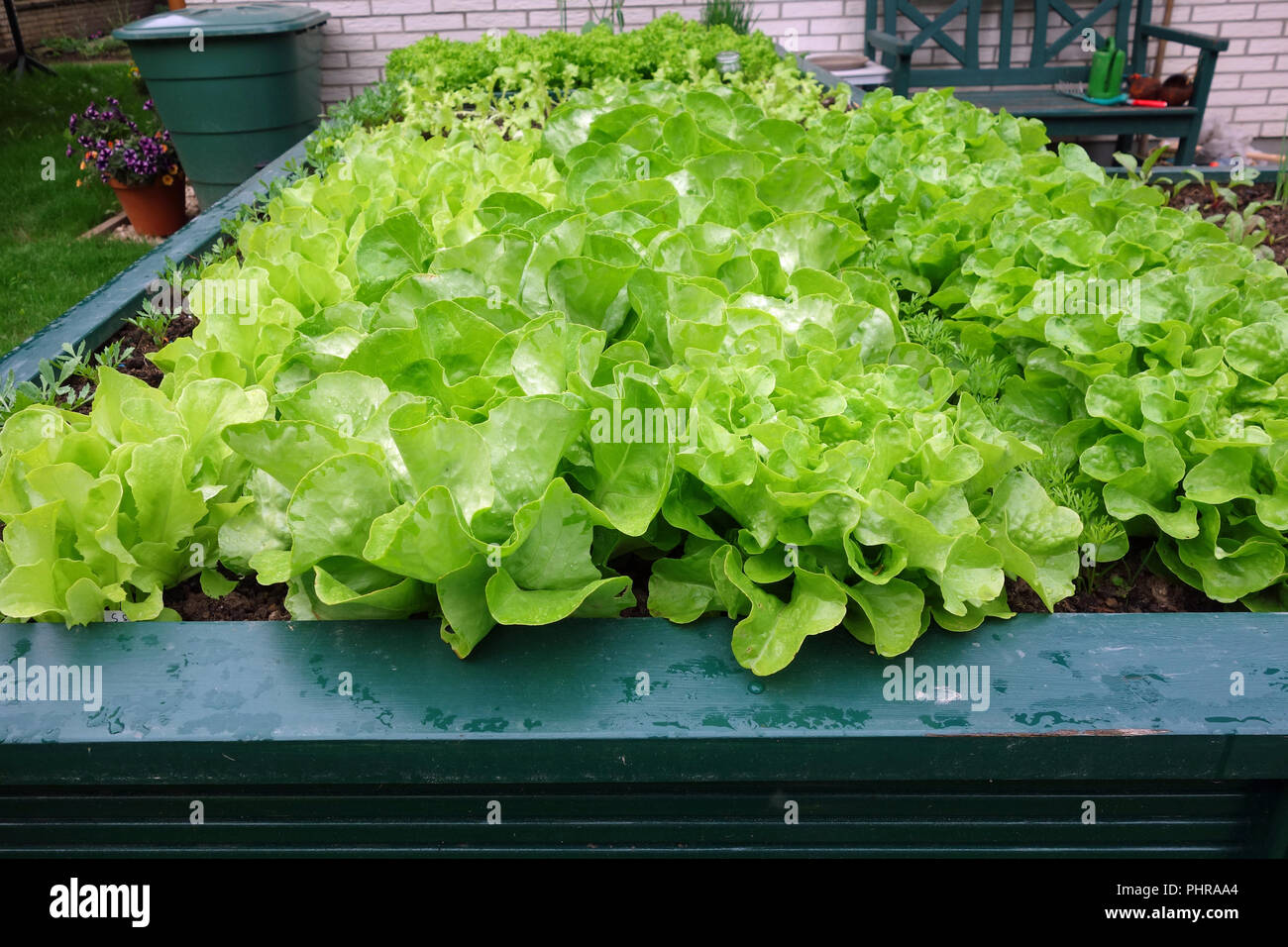 Angehobenes Bett in einem Garten Stockfoto