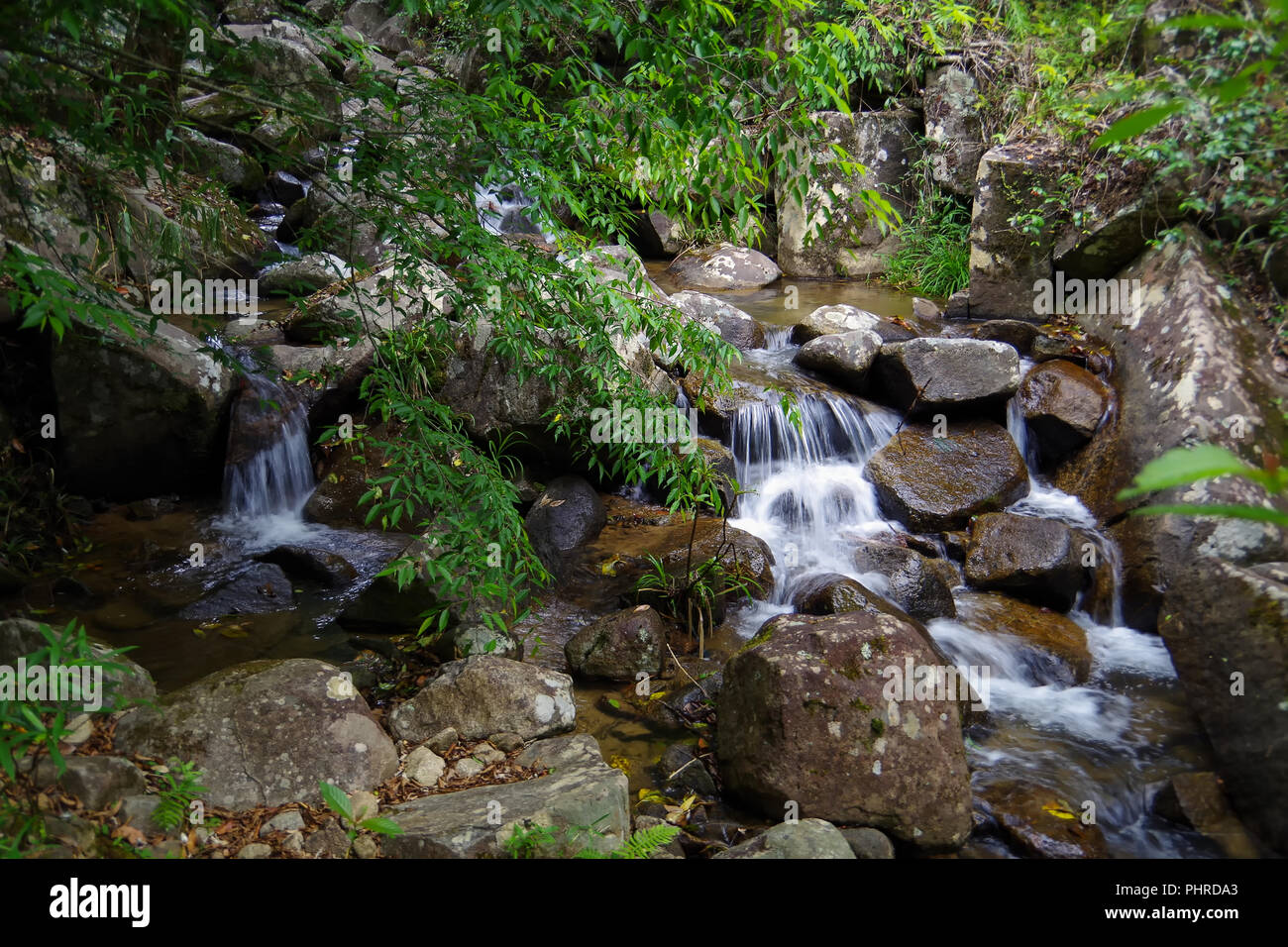 Kleiner Bach im Regenwald. Es macht den kleinen, aber sehr schönen Wasserfall Stockfoto