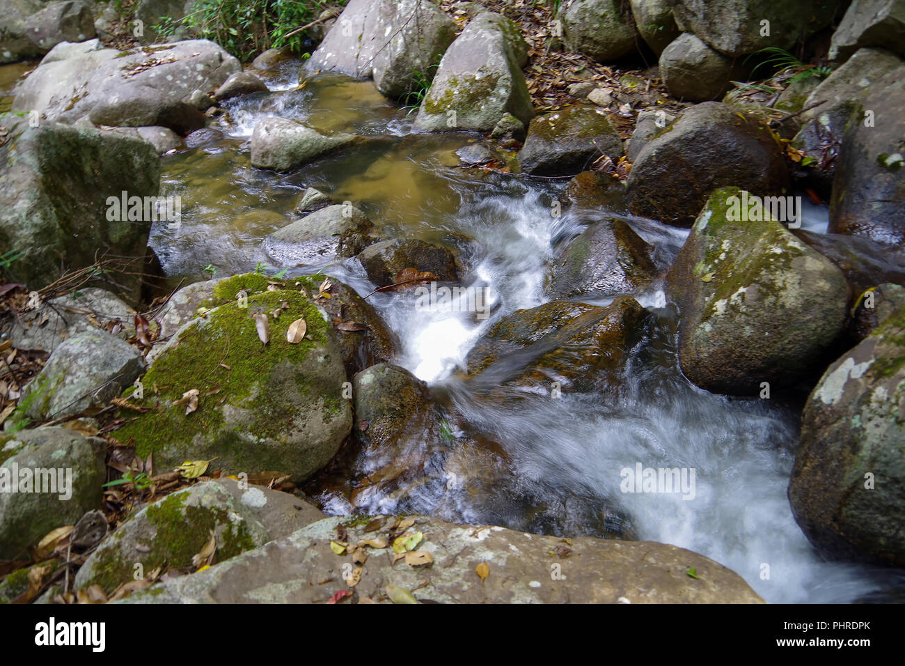 Kleiner Bach im Regenwald. Es macht den kleinen, aber sehr schönen Wasserfall Stockfoto