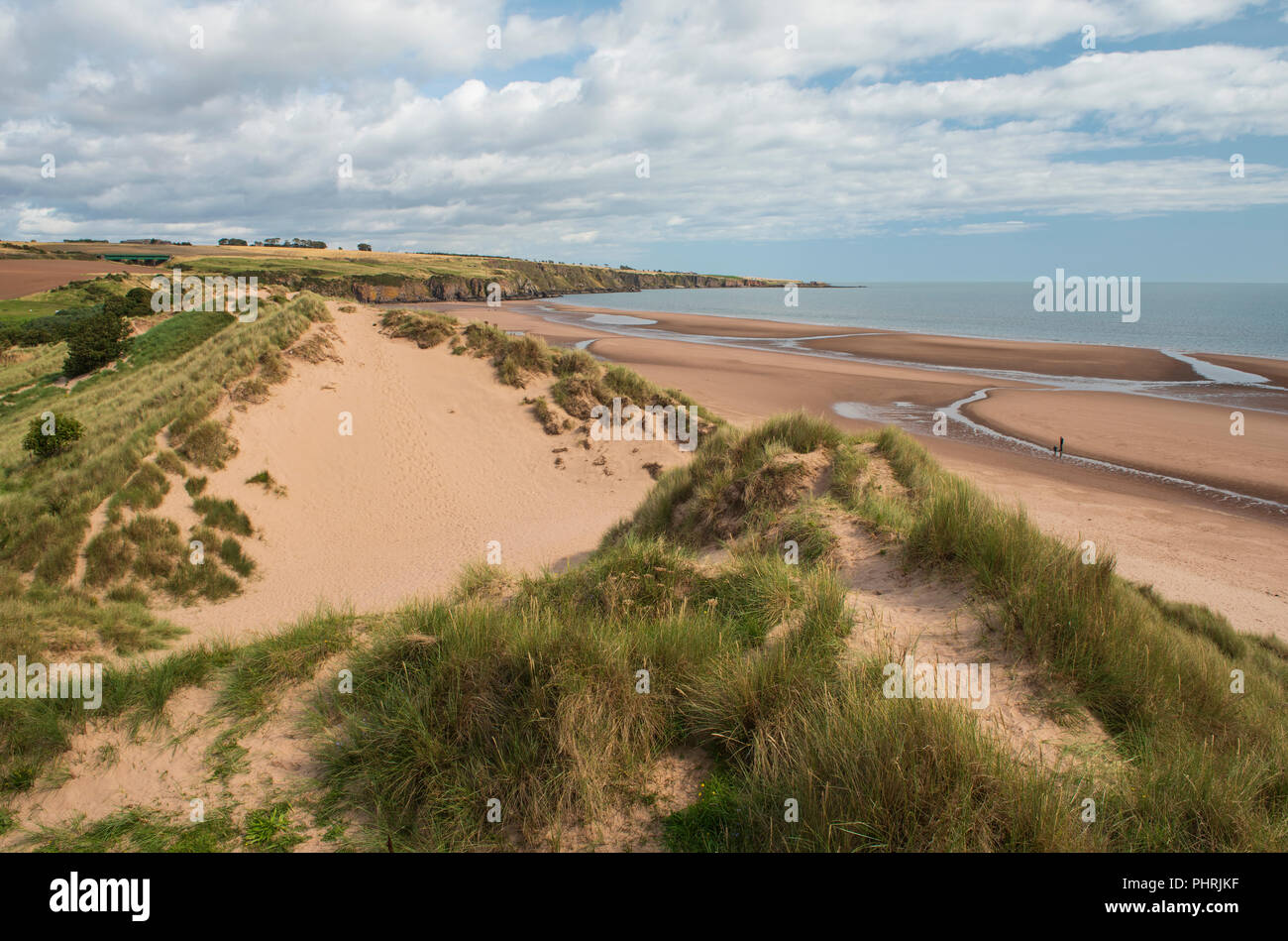 Lunan Bay Beach und Sanddünen, Angus, Schottland. Stockfoto