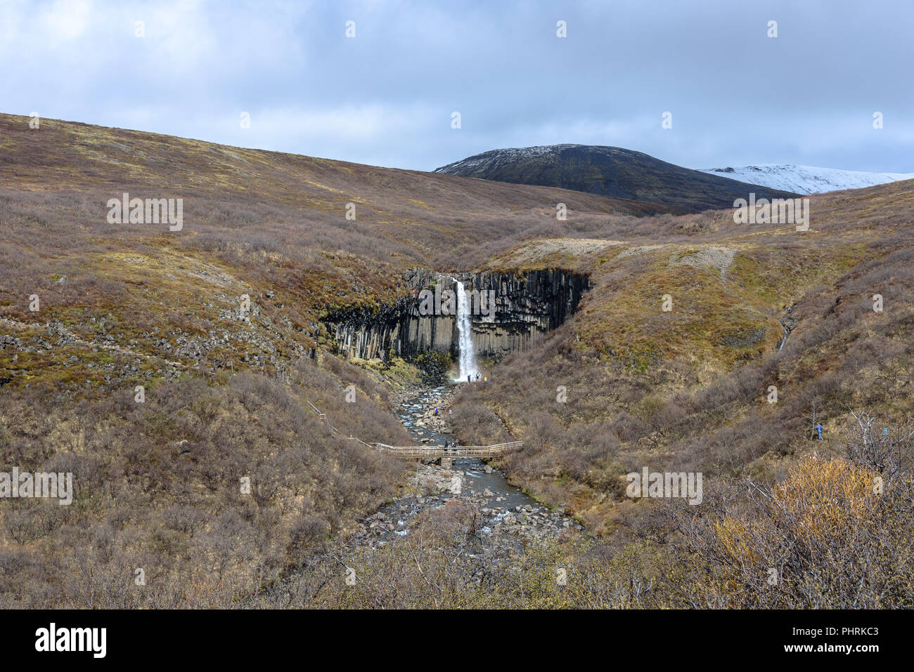 Svartifoss über Basaltsäulen in Island gießen Stockfoto