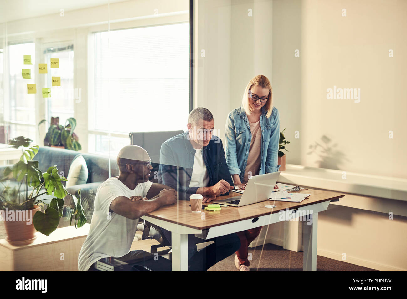 Vielfältige Gruppe von Business Kollegen diskutieren, ein Projekt während an einem Schreibtisch zusammen in einem Glas die Arbeit im Büro Stockfoto