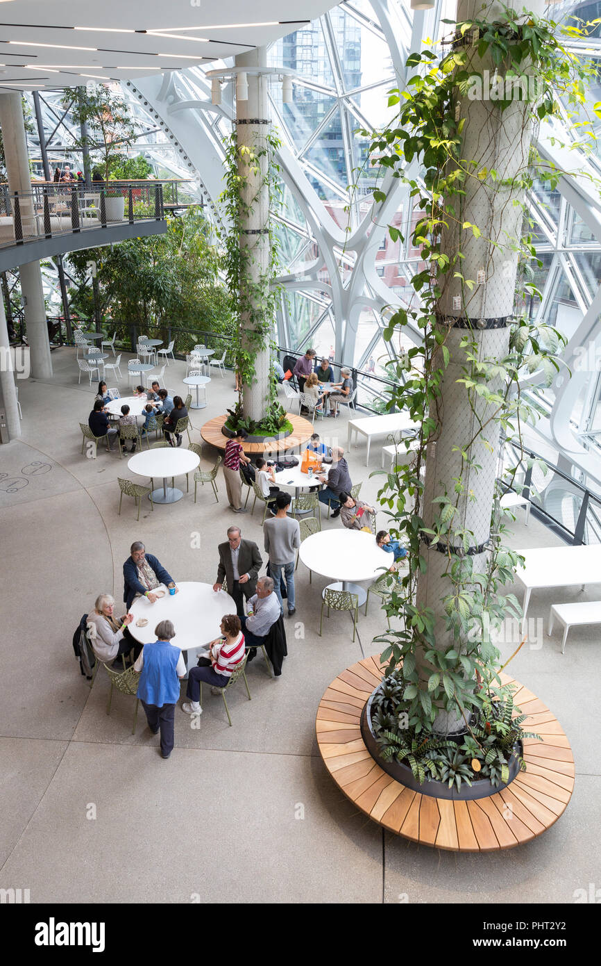 Seattle, Washington: die Besucher in das Atrium in der Kugeln auf dem Amazon Urban Campus. Die geodätischen Strukturen Haus Platz für Büros, Einzelhandel und eine Botanischer Stockfoto