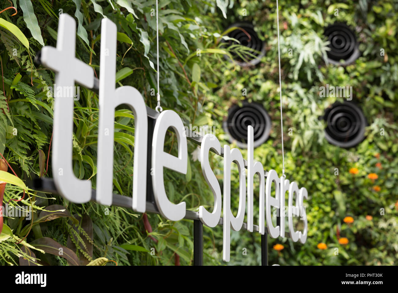 Seattle, Washington: Living Wall an der Kugeln auf dem Amazon Urban Campus. Die geodätischen Strukturen Haus Platz für Büros, Einzelhandel und ein botanischer Garten Stockfoto