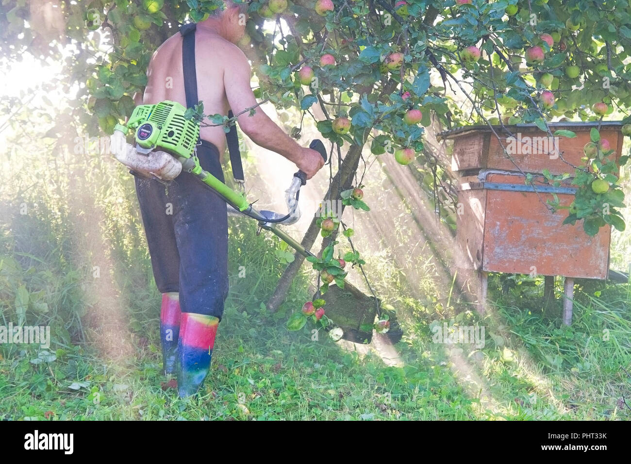 Arbeiter Ausschnittgras im Garten mit dem Unkraut trimmer Stockfoto