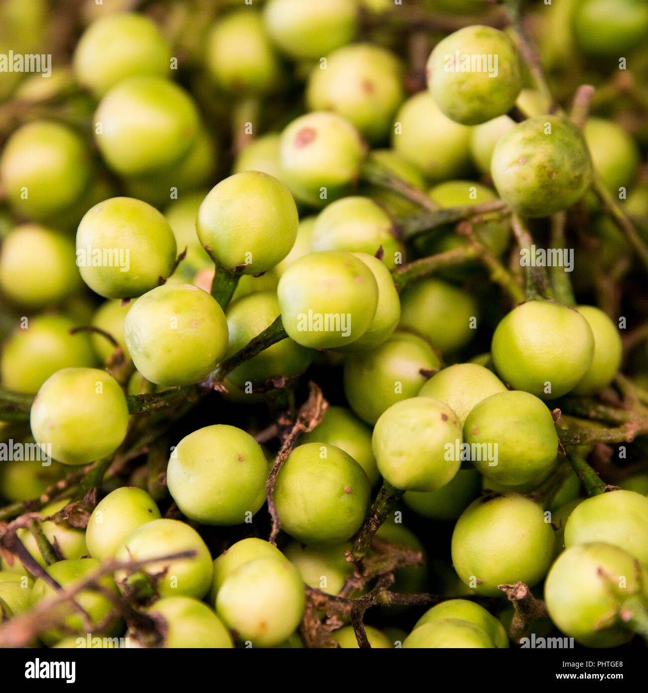 Platz, in der Nähe von Erbse Auberginen. Stockfoto