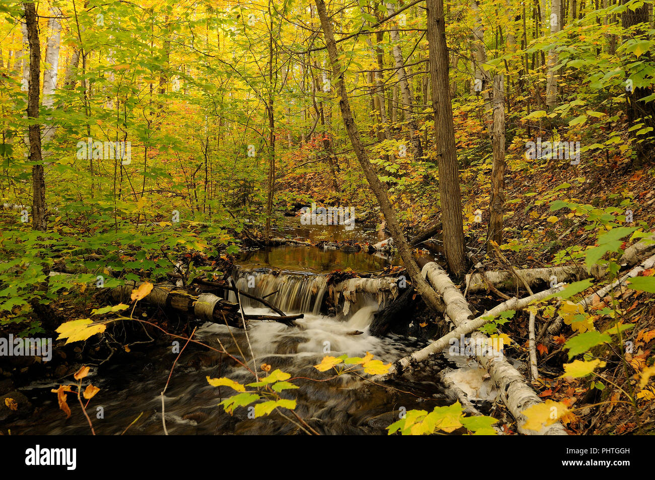 Herbstlandschaft Desktop Hintergrund