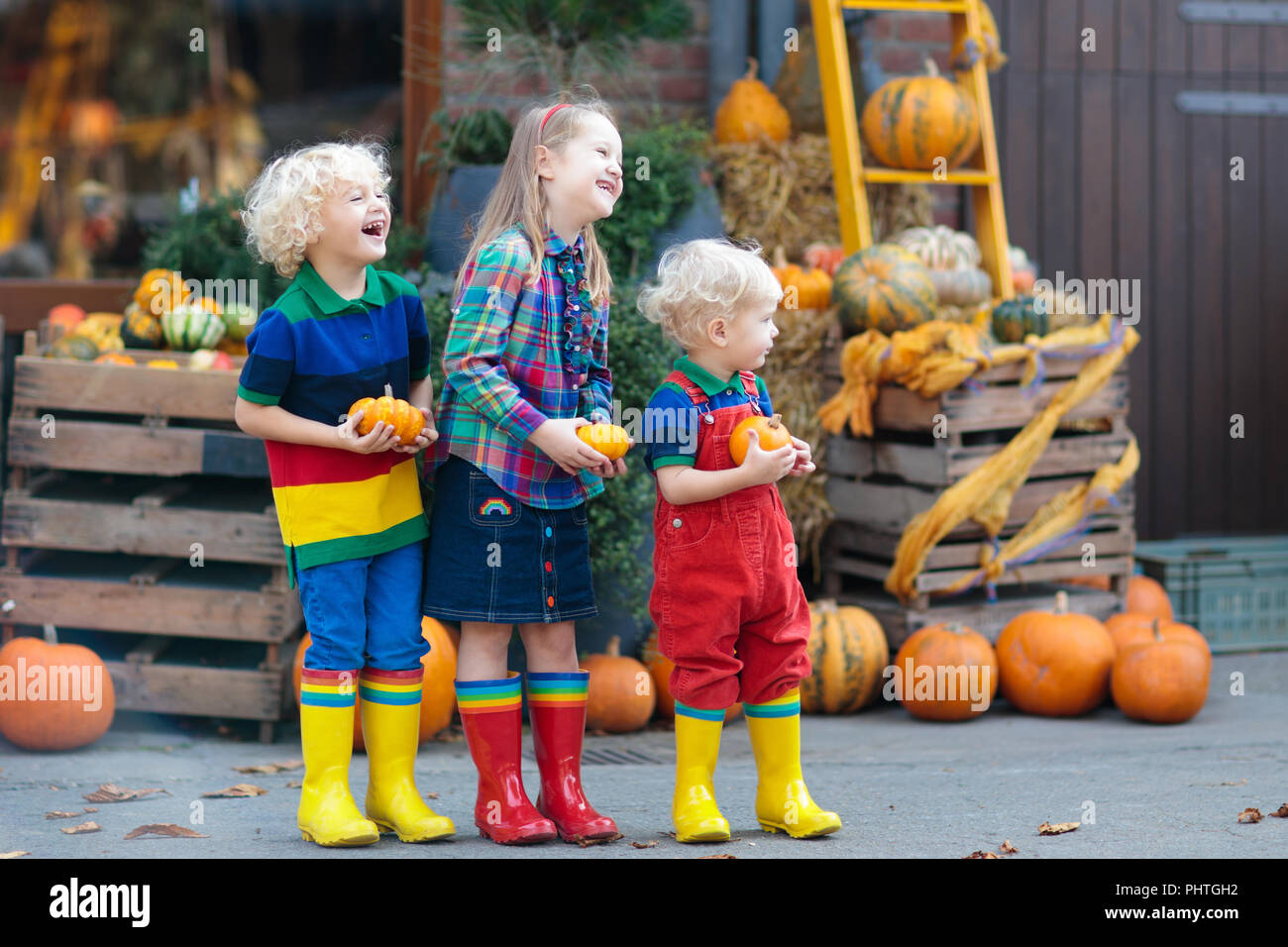 Gruppe kleiner Kinder genießen Bauernherbst Feier in Pumpkin Patch. Kinder Kommissionierung und schnitzen Kürbisse an Land Bauernhof auf warmen Herbsttag. Stockfoto