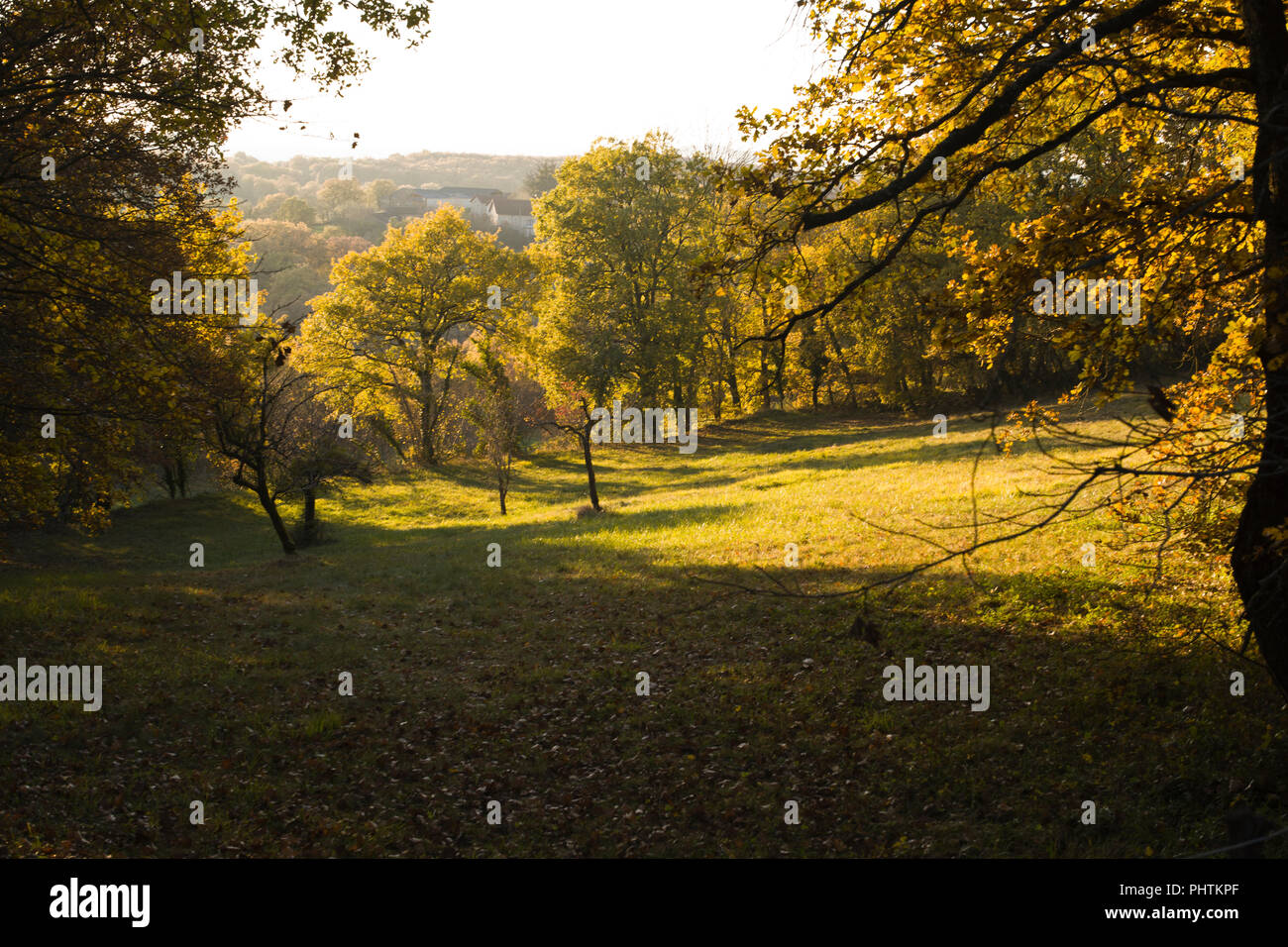 Sonnenschein auf Bäume in der Nähe der Ortschaft St. Martial, in der Ortschaft Varen, Tarn-et-Garonne, Royal, Frankreich, Europa im Herbst Stockfoto