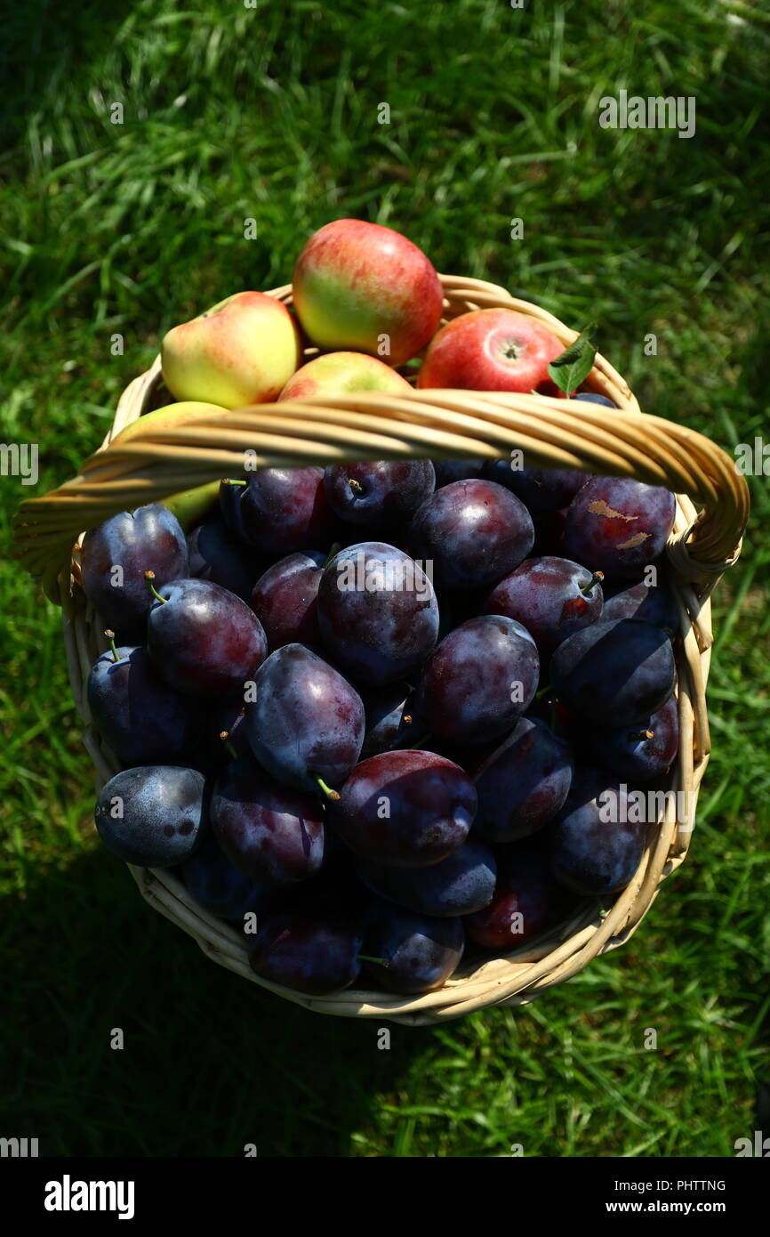 Essen: Sommer Obstkorb Stockfoto