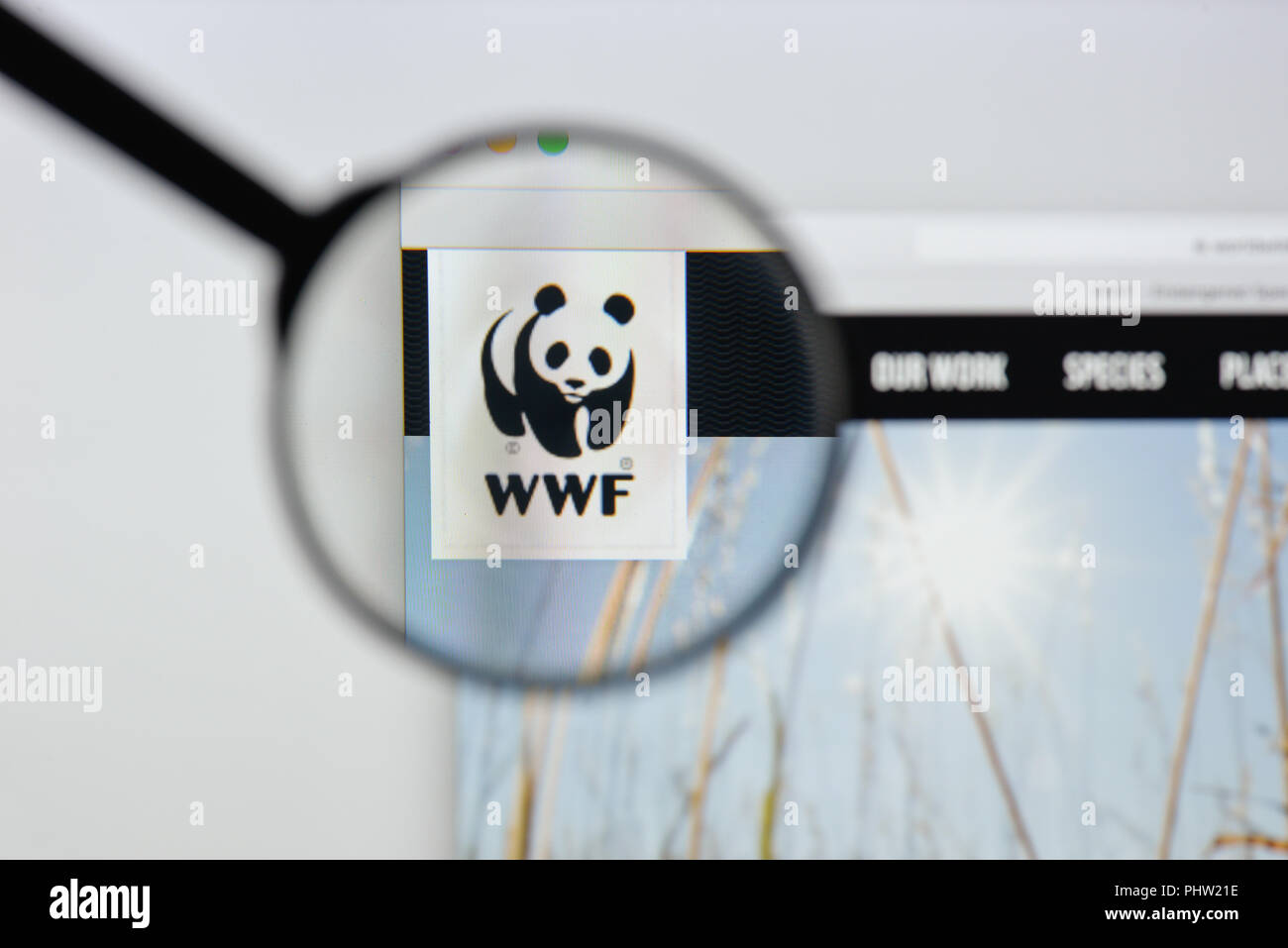 Mailand, Italien - 20 August 2018: die WWF-Homepage. WWF Logo sichtbar. Stockfoto