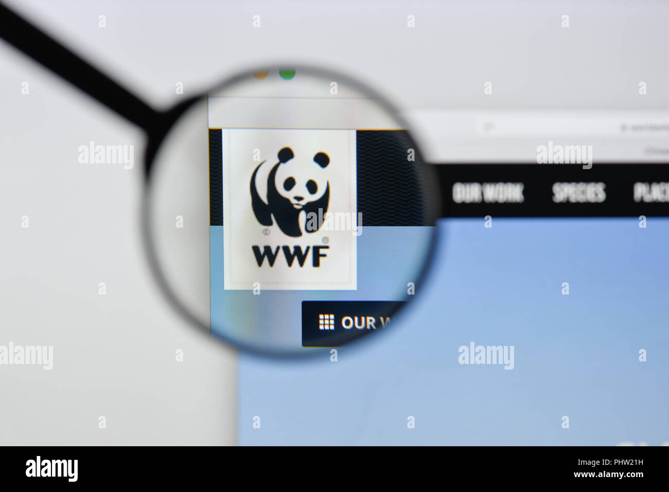 Mailand, Italien - 20 August 2018: die WWF-Homepage. WWF Logo sichtbar. Stockfoto