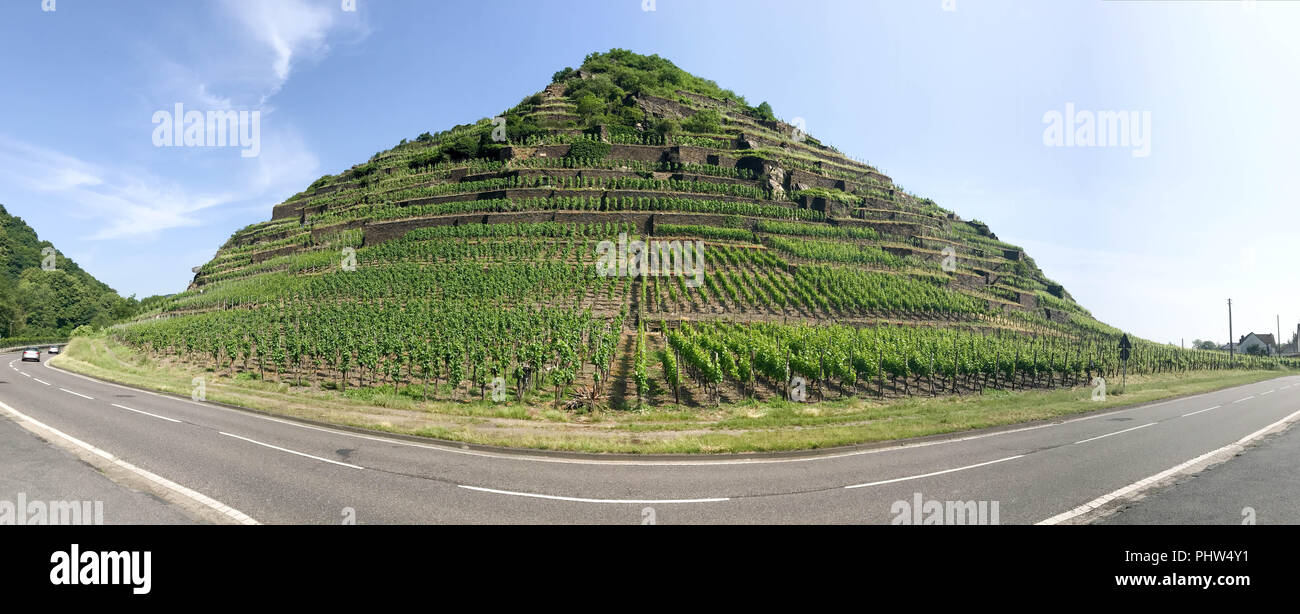 Rotweinstraße im Ahrtal mit Weinberg Stockfoto