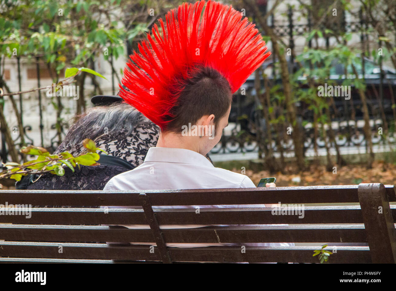 Ein Punk mit einem sehr großen Scarlet mohican und einer Sicherheitsnadel Ohrring sitzt auf einer Parkbank in London Stockfoto