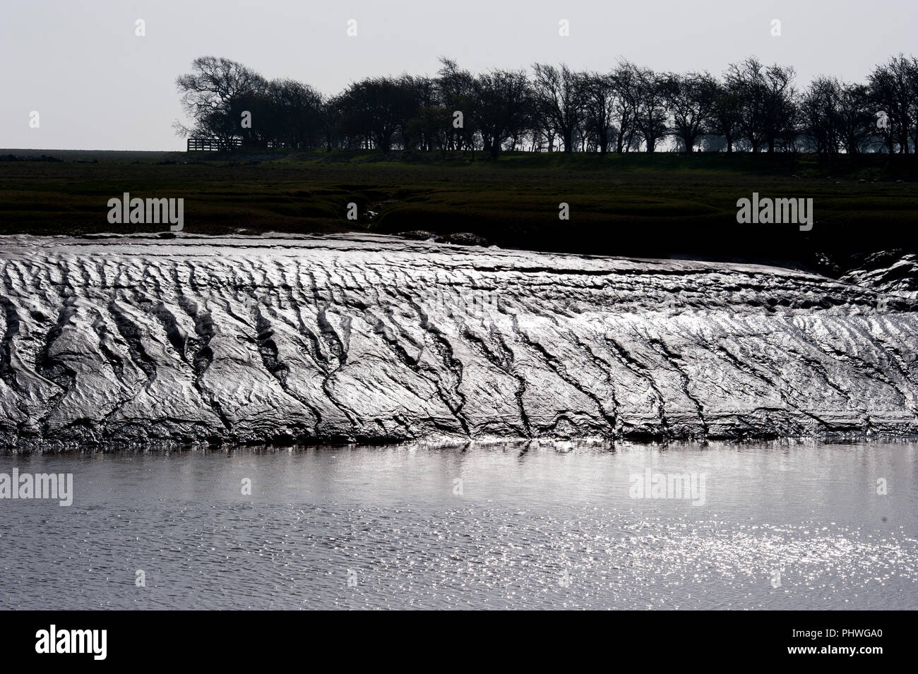 Ebbe mudbanks auf dem Fluss Bladnoch im Wigtown Nature Reserve, Wigtown Harbour, auf dem Solway, Dumfries und Galloway, Schottland. Stockfoto