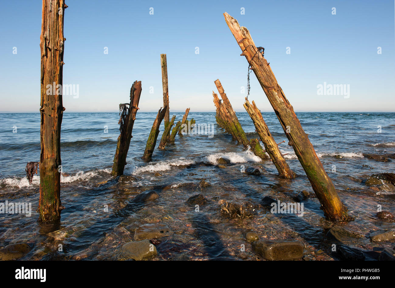 Verrottendes Holz Pfähle aus einem alten Boot Anlegestelle am Strand in der Nähe von Drummore, Rhins Of Galloway, SW Schottland. Blauer Himmel und das türkisfarbene Meer Stockfoto