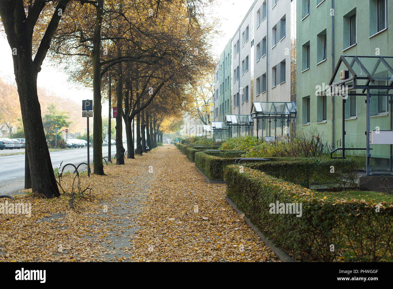 Ost-berlin vorort Wohnblocks in einer Reihe im Herbst Stockfoto