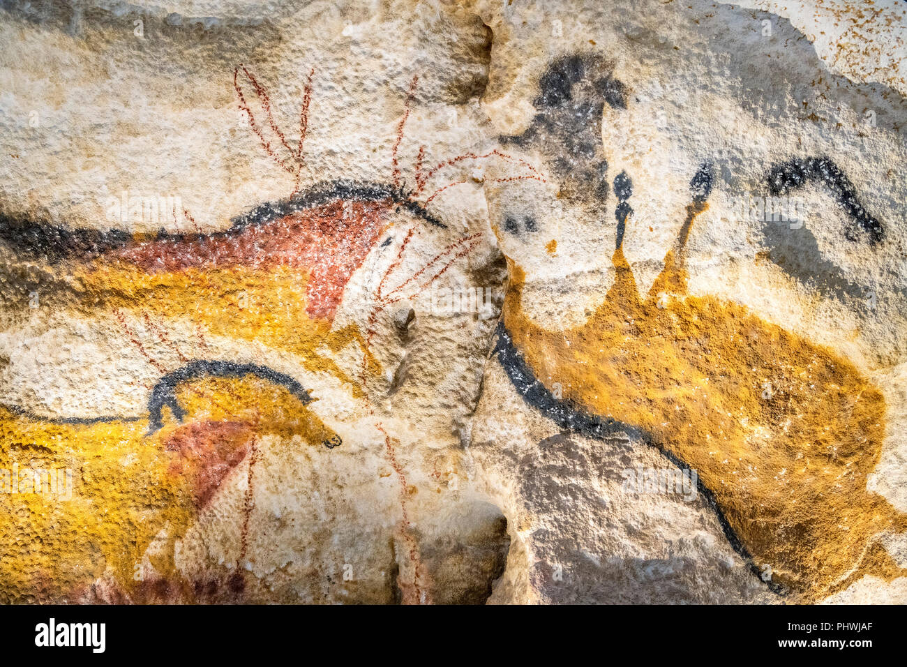 Das Umgedrehte Pferd (Le Cheval Renverse) eine Höhle Malerei im Internationalen Zentrum für Kunst und Höhle (IV), Montignac Lascaux, Dordogne, Frankreich Stockfoto