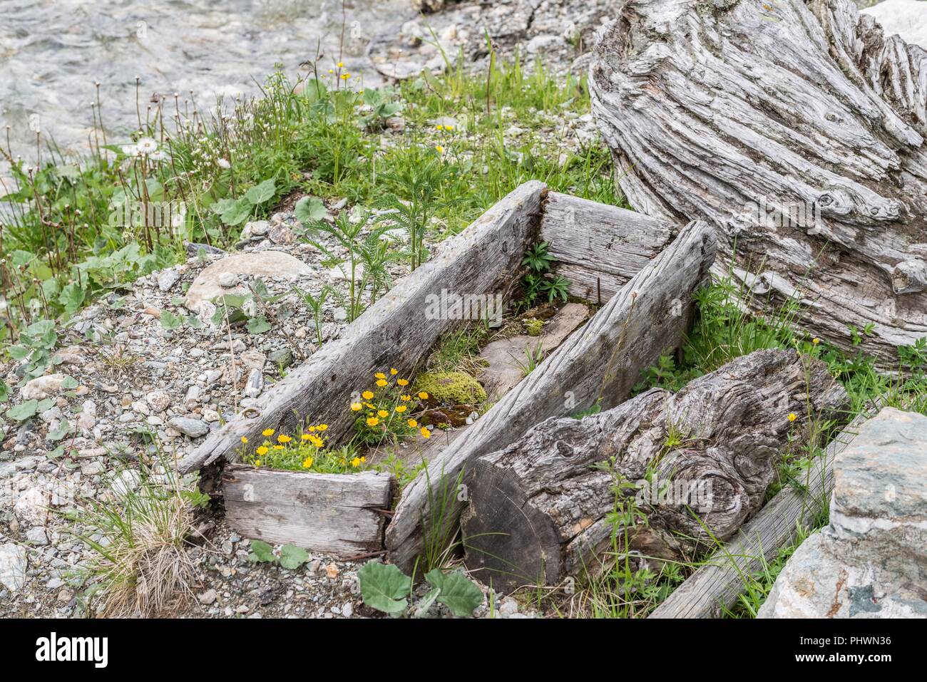 Verwitterten hölzernen Trog, Österreich Stockfoto