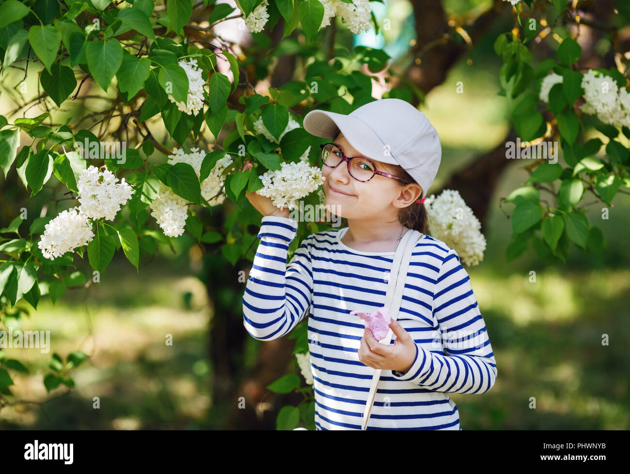 Kind Mädchen riechenden weißen Flieder Blumen im Garten. Selektive konzentrieren. Stockfoto