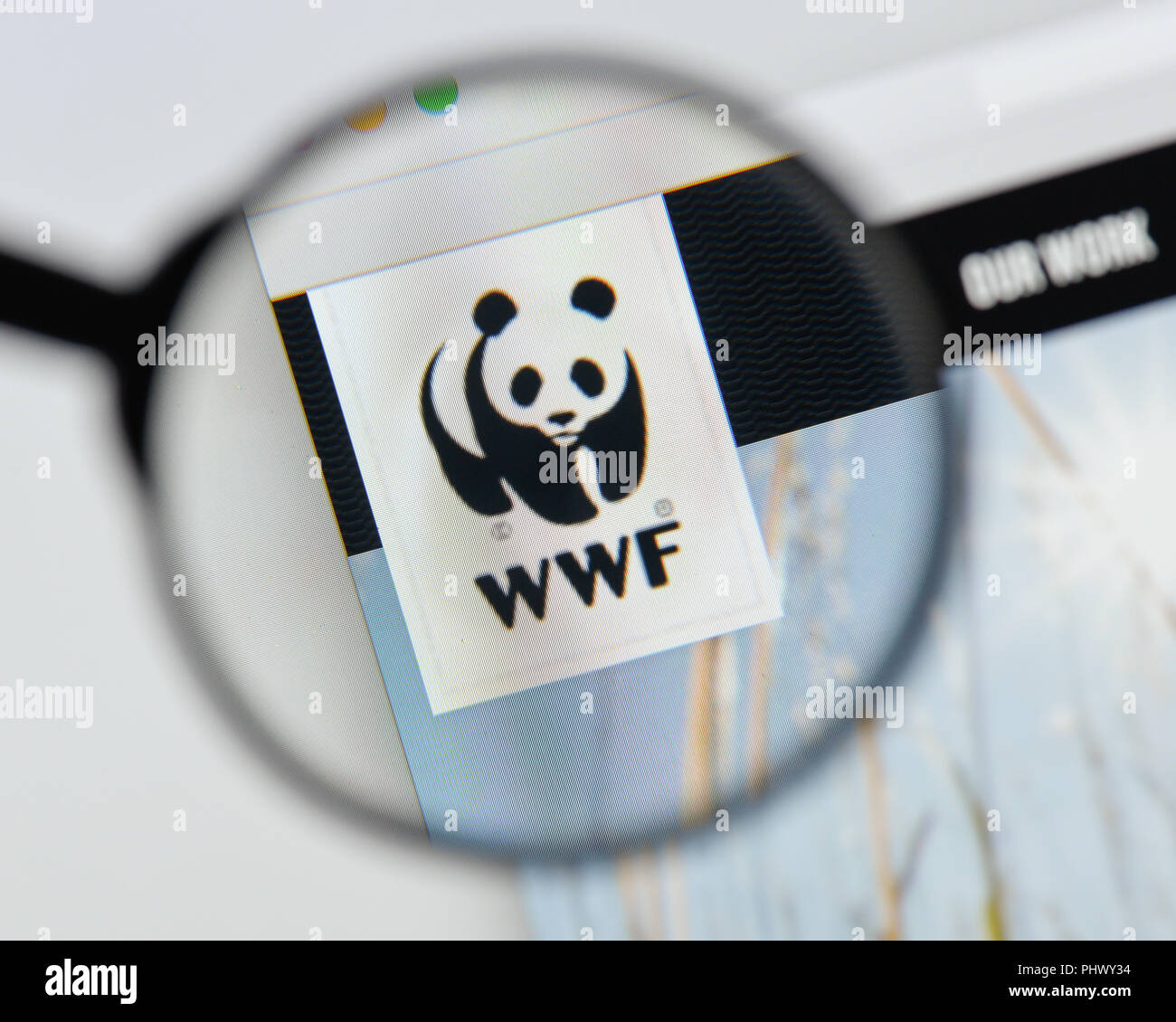Mailand, Italien - 20 August 2018: die WWF-Homepage. WWF Logo sichtbar. Stockfoto