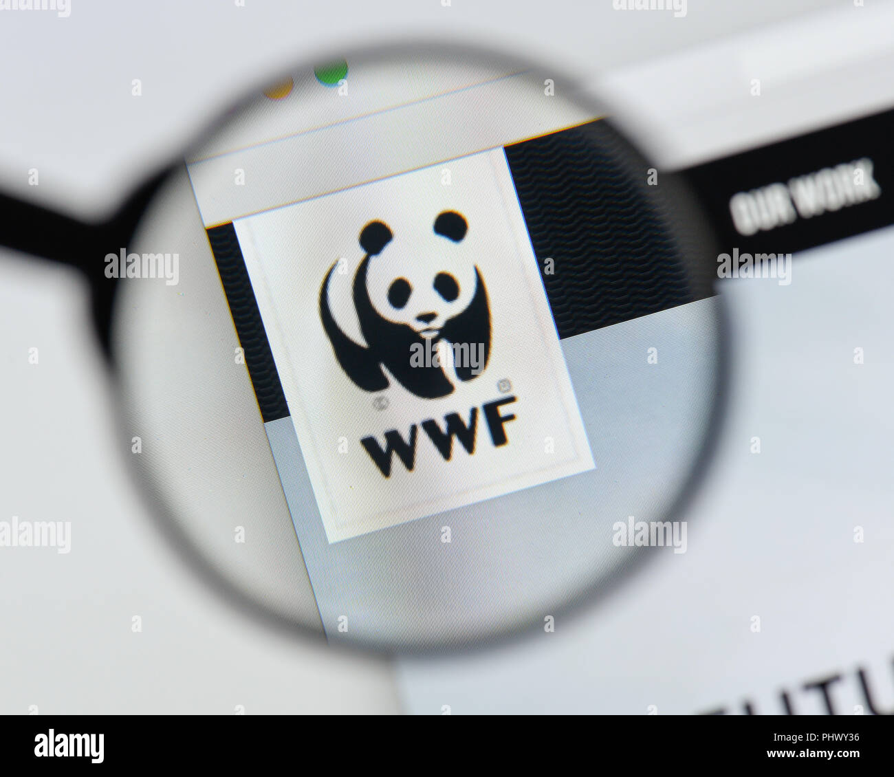 Mailand, Italien - 20 August 2018: die WWF-Homepage. WWF Logo sichtbar. Stockfoto