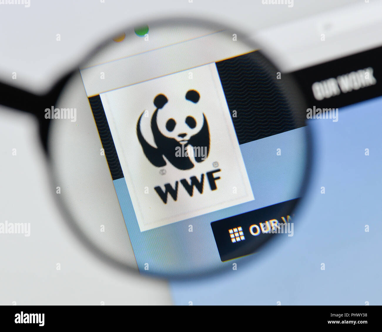 Mailand, Italien - 20 August 2018: die WWF-Homepage. WWF Logo sichtbar. Stockfoto