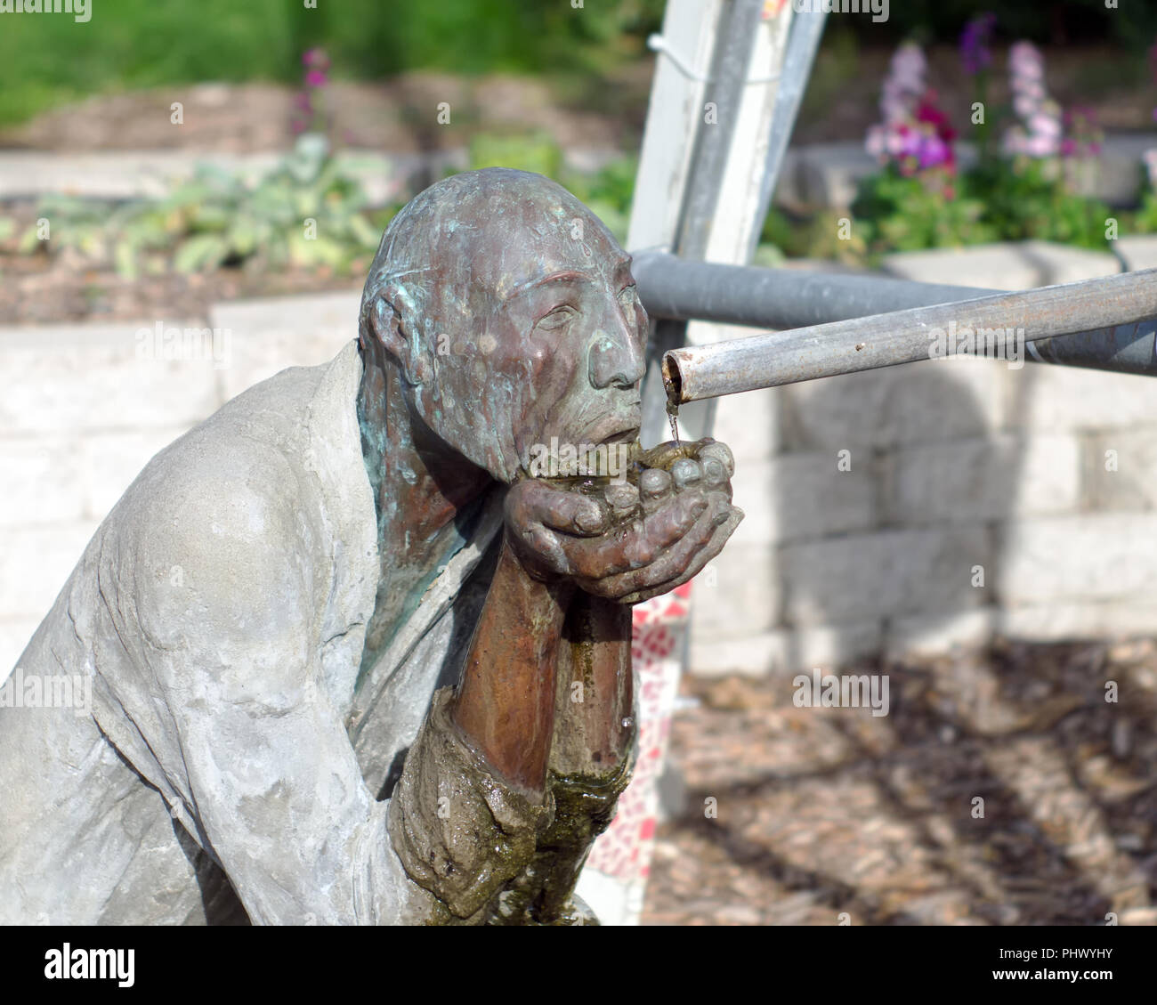 Eine kupferne Statue eines Mannes mit hohlen Händen fangen fließendes Wasser aus der Leitung zu trinken. South Texas Botanischen Gärten in Corpus Christi, Texas USA. Stockfoto