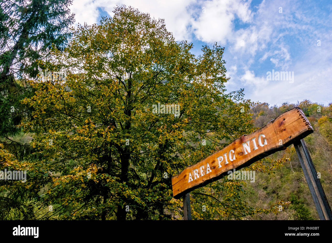 Signage Picknickplatz unter den Bäumen in die Berge im Herbst Stockfoto