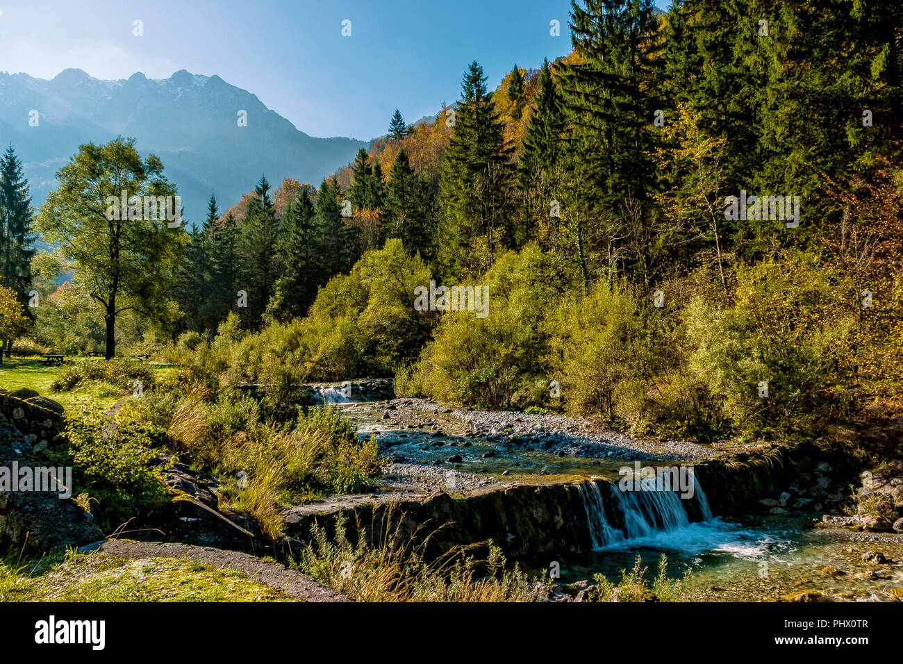 Herbst Landschaft in den Alpen von einem Bach mit Wasserfall zwischen Natur und Berge, Bergamo, Bergamasker, Tal brembana Lokalität Cassiglio Stockfoto