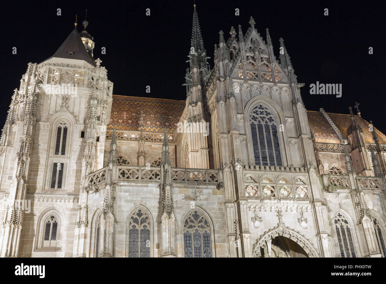 Kathedrale St. Elisabeth in Kosice Altstadt bei Nacht, Slowakei. Stockfoto