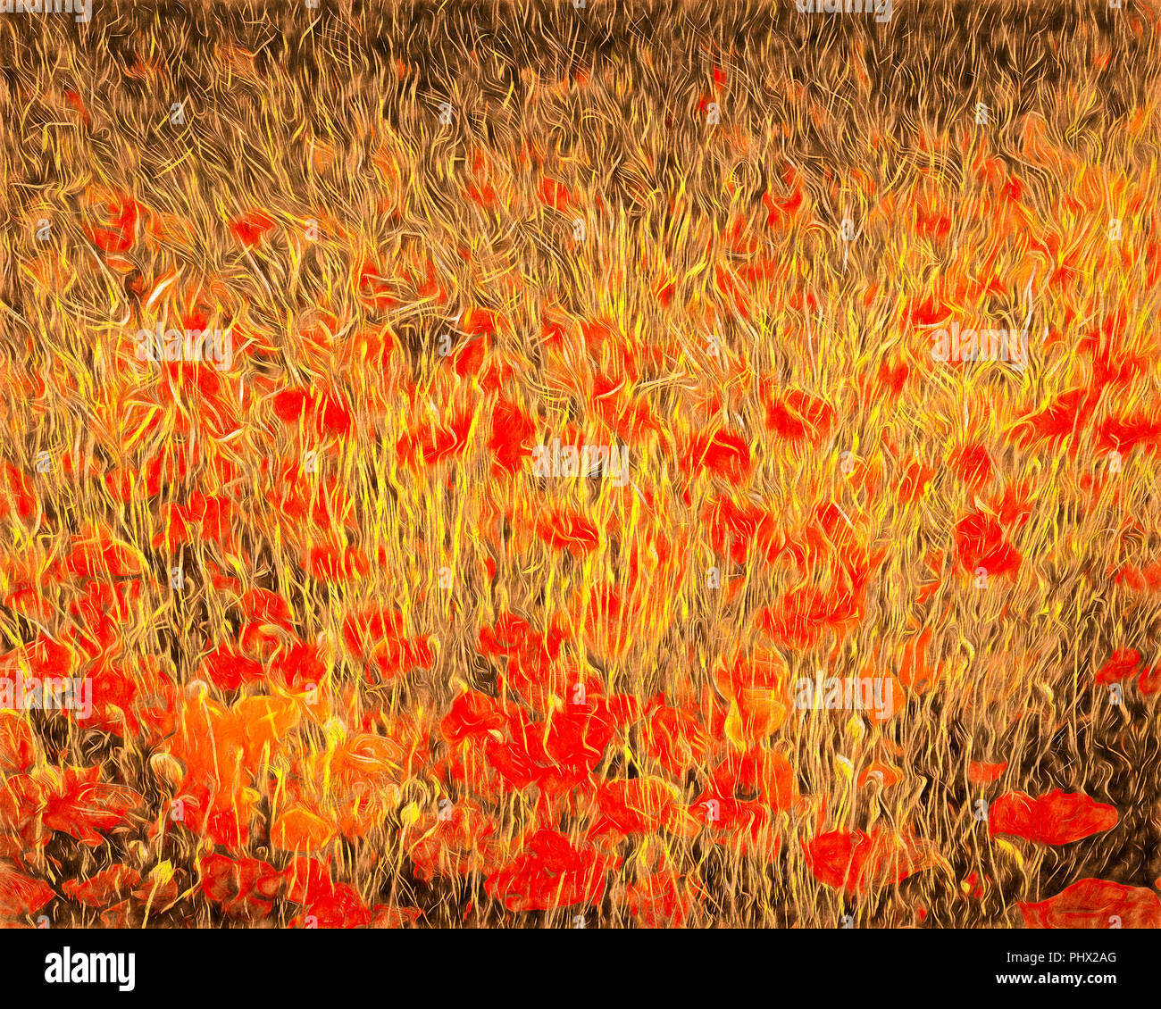Digitale Kunst: Mohnblumen auf dem Feld Stockfoto