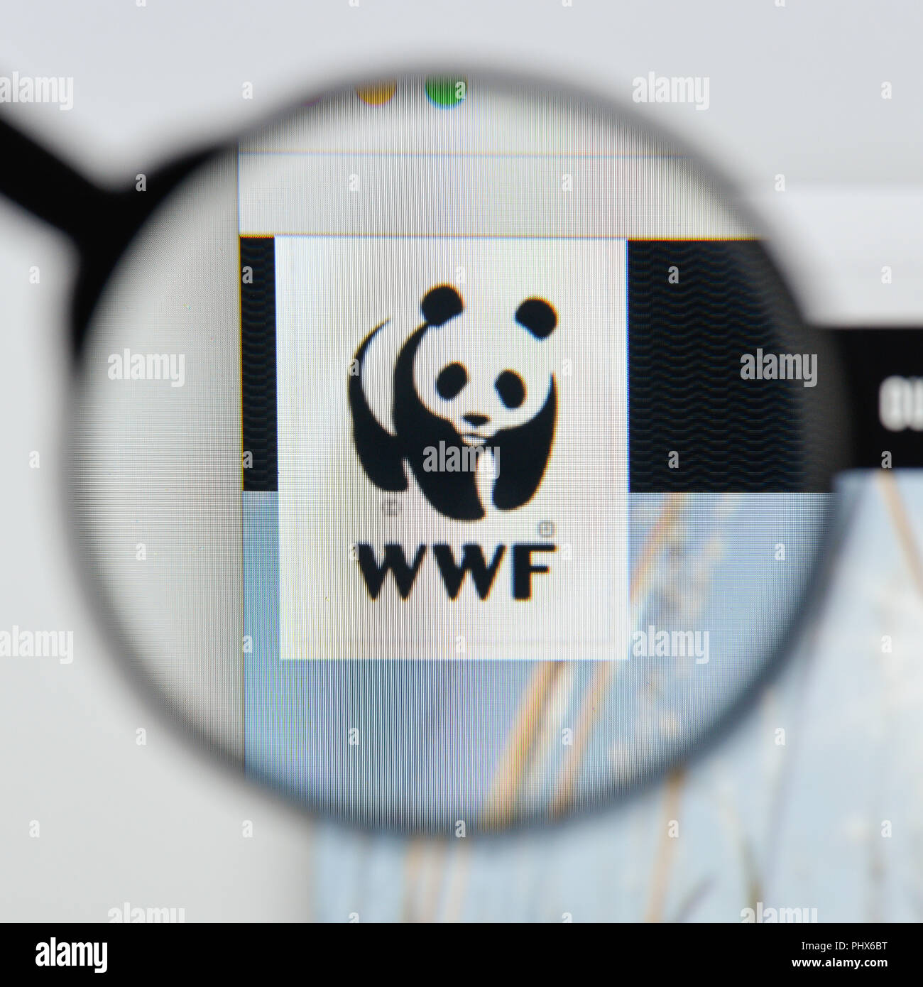 Mailand, Italien - 20 August 2018: die WWF-Homepage. WWF Logo sichtbar. Stockfoto