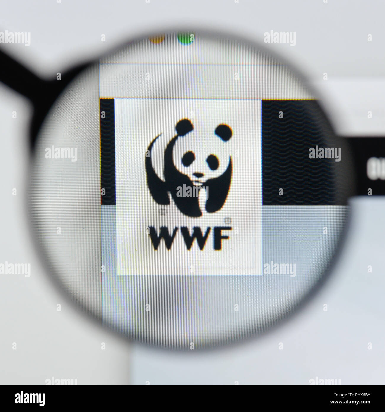 Mailand, Italien - 20 August 2018: die WWF-Homepage. WWF Logo sichtbar. Stockfoto