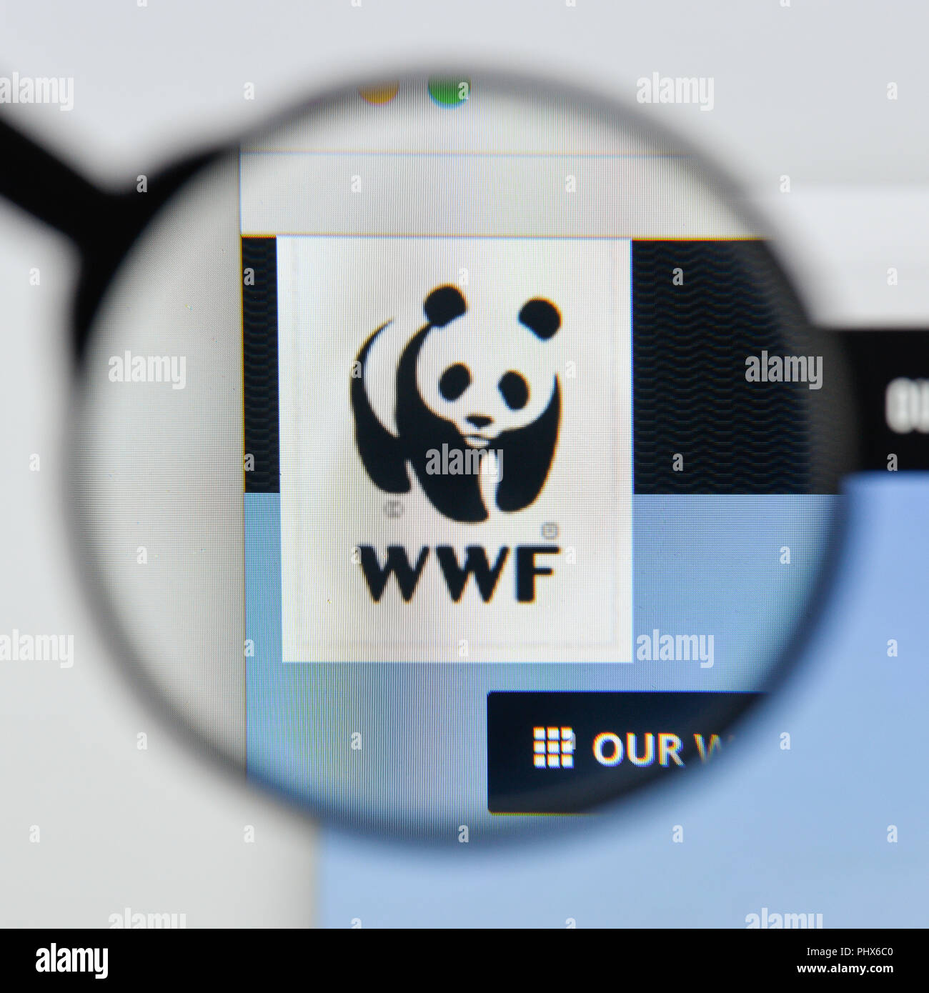 Mailand, Italien - 20 August 2018: die WWF-Homepage. WWF Logo sichtbar. Stockfoto