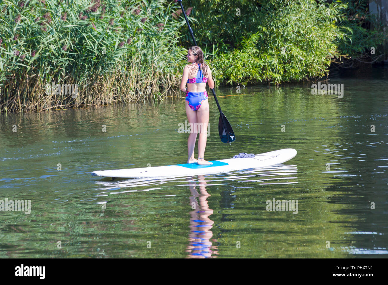 Tuckton, Bournemouth, Dorset, Großbritannien. September 2018, 3rd. Wetter in Großbritannien: Schöner, warmer, sonniger Tag, an dem Besucher den Fluss Stour in Tuckton entlang schlendern. Junge Frau Paddleboarding Paddleboarding auf Paddleboard Paddleboard - Paddleboarder Paddleboarder. Quelle: Carolyn Jenkins/Alamy Live News Stockfoto