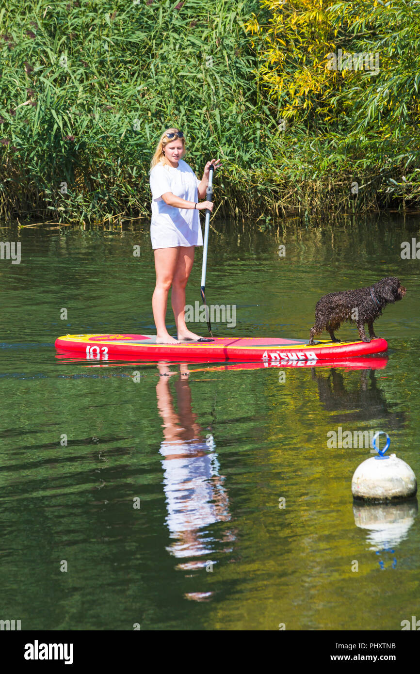 Tuckton, Bournemouth, Dorset, Großbritannien. September 2018, 3rd. Wetter in Großbritannien: Schöner, warmer, sonniger Tag, an dem Besucher den Fluss Stour in Tuckton entlang schlendern. Junge Frau Paddleboarding mit Hund Paddle Boarding auf Paddleboard Paddleboard - Paddleboarder Paddleboarder. Quelle: Carolyn Jenkins/Alamy Live News Stockfoto