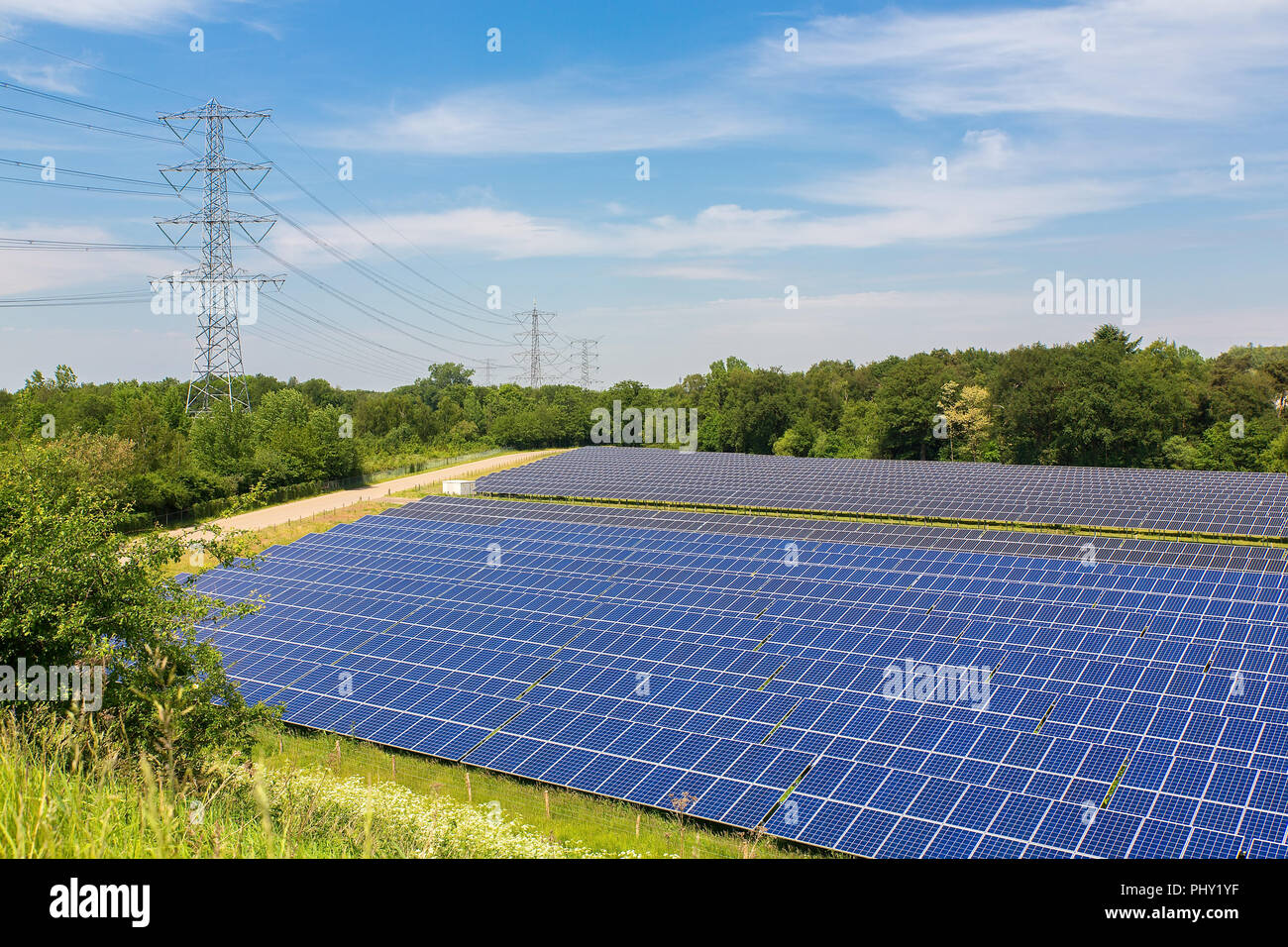 Großes Feld mit Solarzellen in Holland Stockfoto