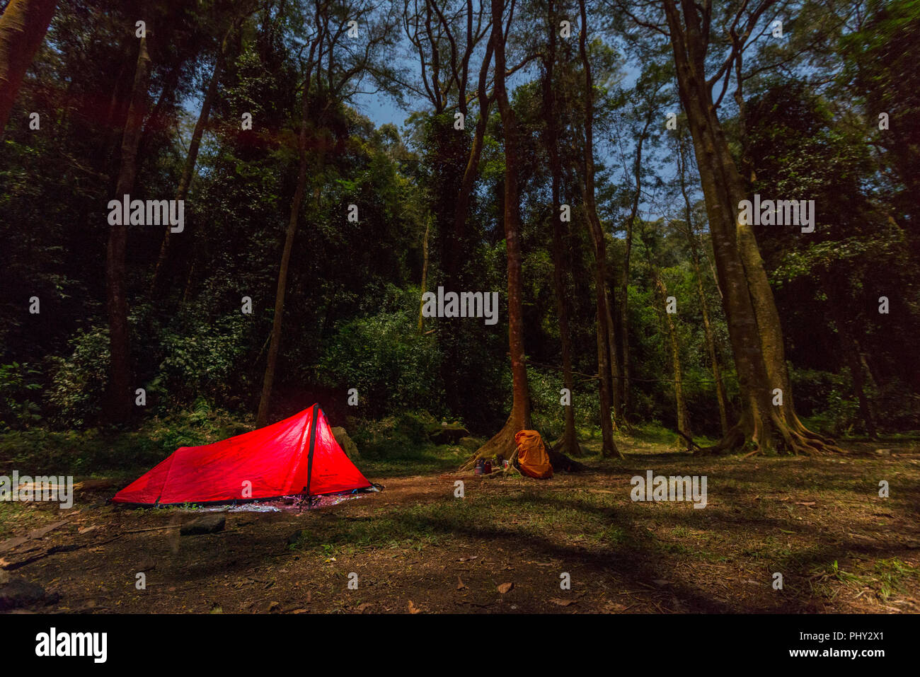 Ein Wanderzelt in einem Wald bei Nacht auf dem Turaco Trail, Simbabwe gesehen. Stockfoto