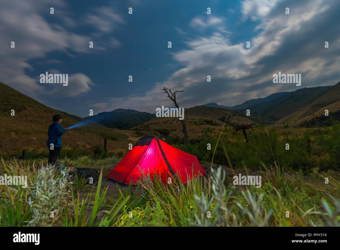 Ein Wanderzelt in einem Wald bei Nacht auf dem Turaco Trail, Simbabwe gesehen. Stockfoto